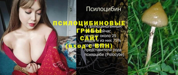 ешки Баксан