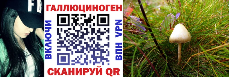 kraken онион  Билибино  Галлюциногенные грибы GOLDEN TEACHER 